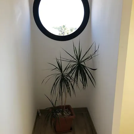 Oliveraie *